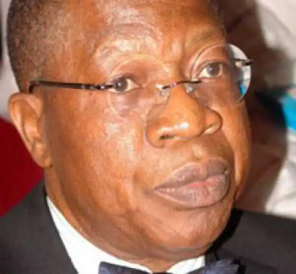 " Nigerians Will Soon Get The Change They Voted For " - Lai Mohammed